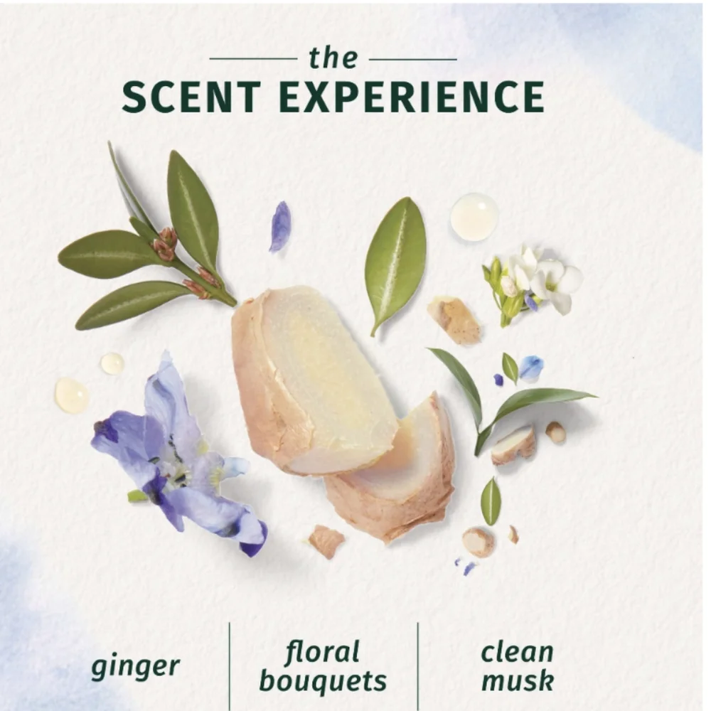 NEW Herbal Essences Bio: Renew Blue Ginger In The Shower Foam Conditioner, 6 oz.